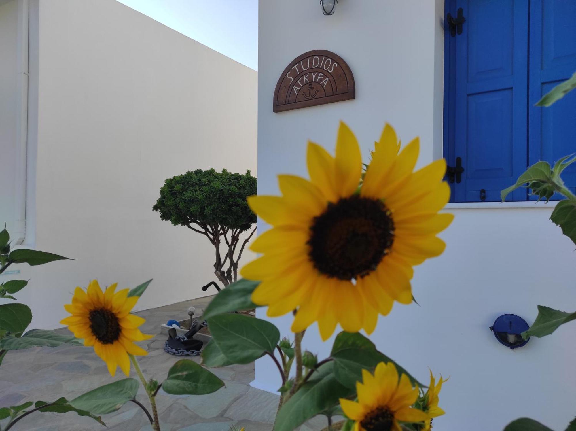 Studios Αγκυρα Livadi  Exterior foto